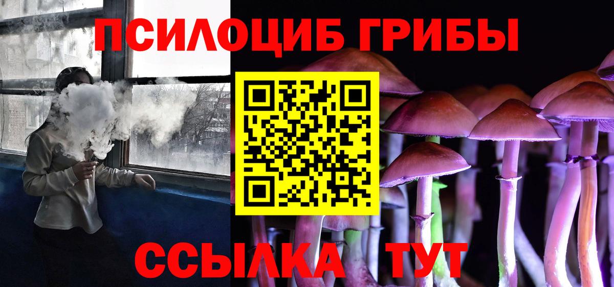 Псилоцибиновые грибы мицелий  Вход с VPN  Галлюциногенные грибы Psilocybine cubensis  Всеволожск 