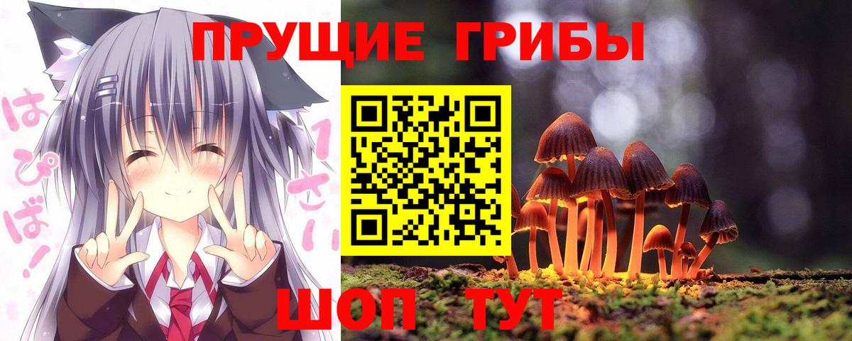 Псилоцибиновые грибы Cubensis Всеволожск